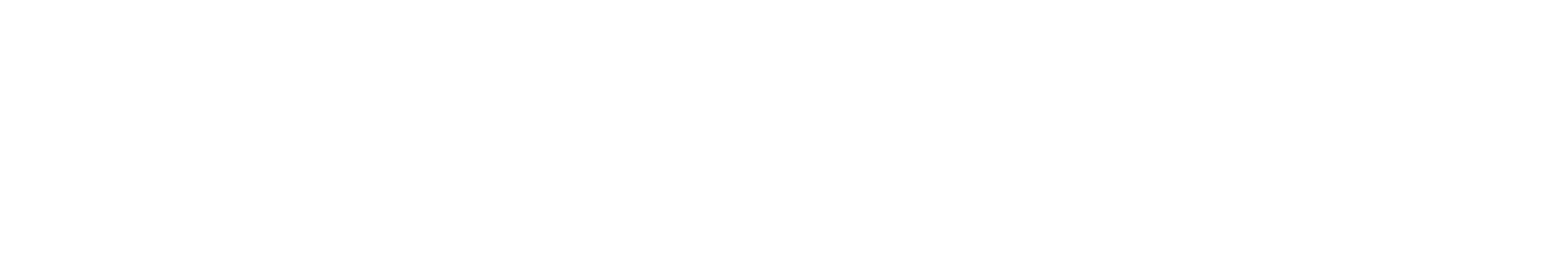 Agência Connext - Logo Branca